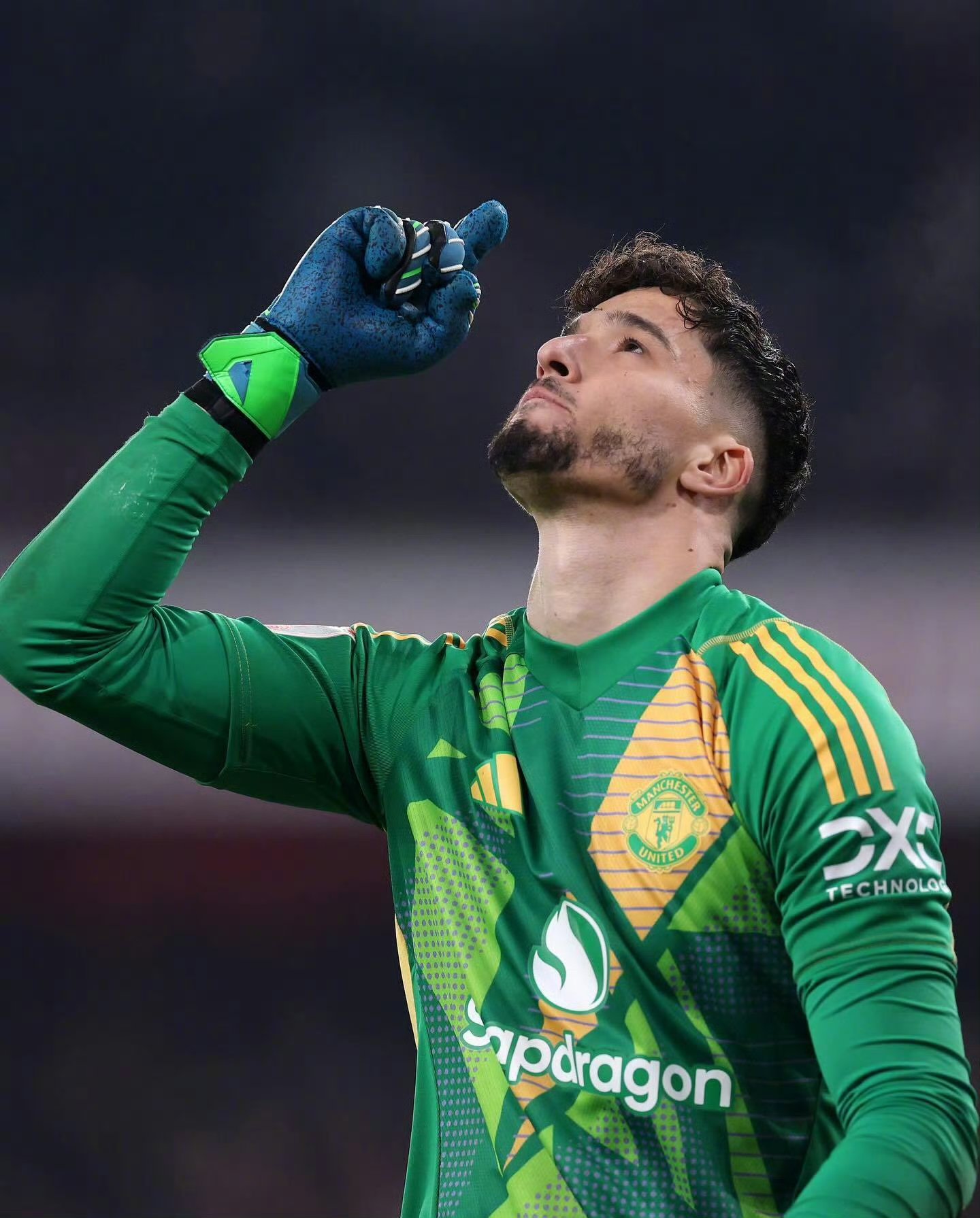 九游电脑版-今夜荷甲焦点战，阿森纳伤情更新，话题不断，资深球员宣示担当的简单介绍-九游电脑版